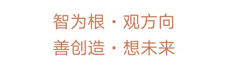智观善想-19